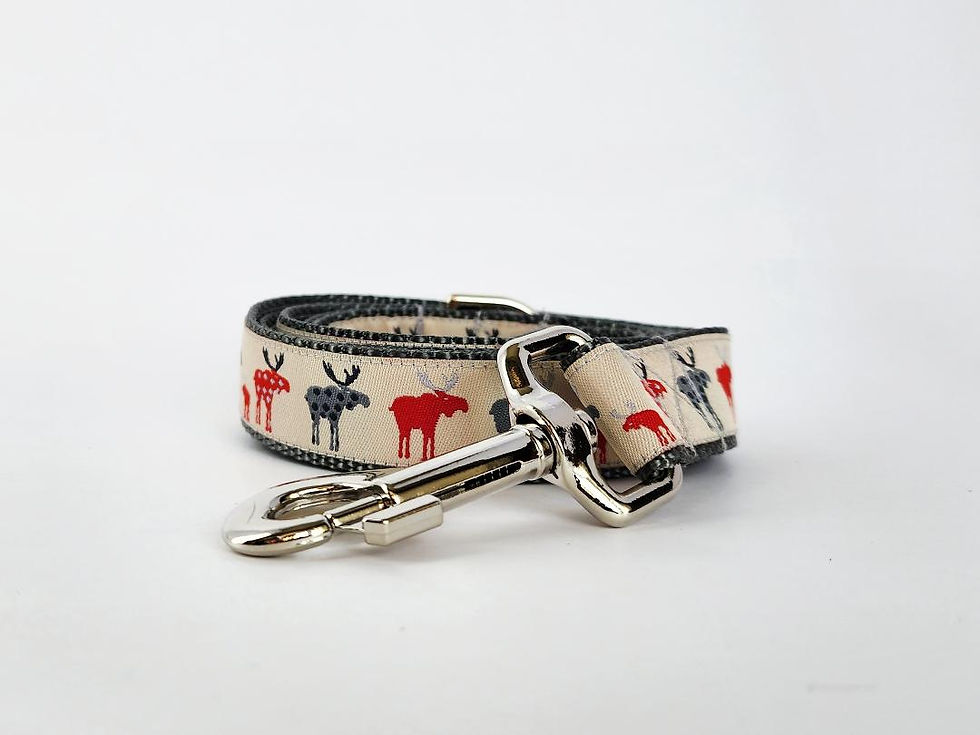 Thumbnail: 1.5" Moose Dog Collar