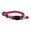 Thumbnail: Dancing Bears Cat Collar or Leash