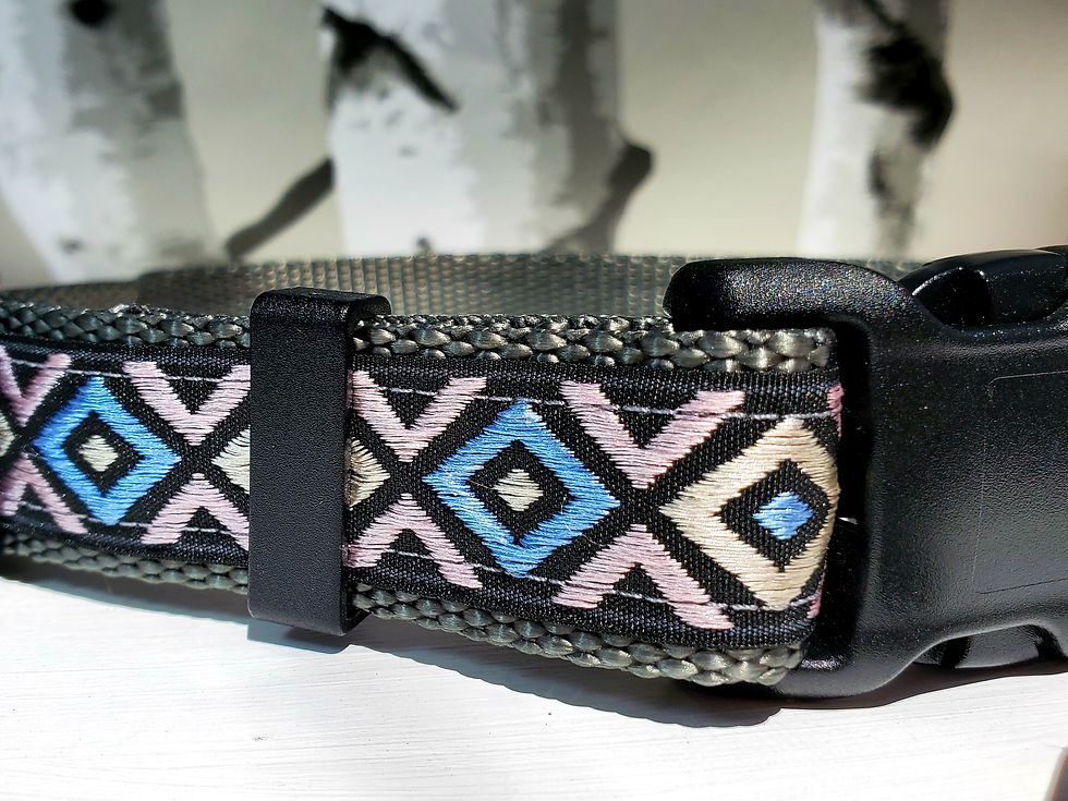 Thumbnail: 1" Black Southwest Dog Collar and Leash
