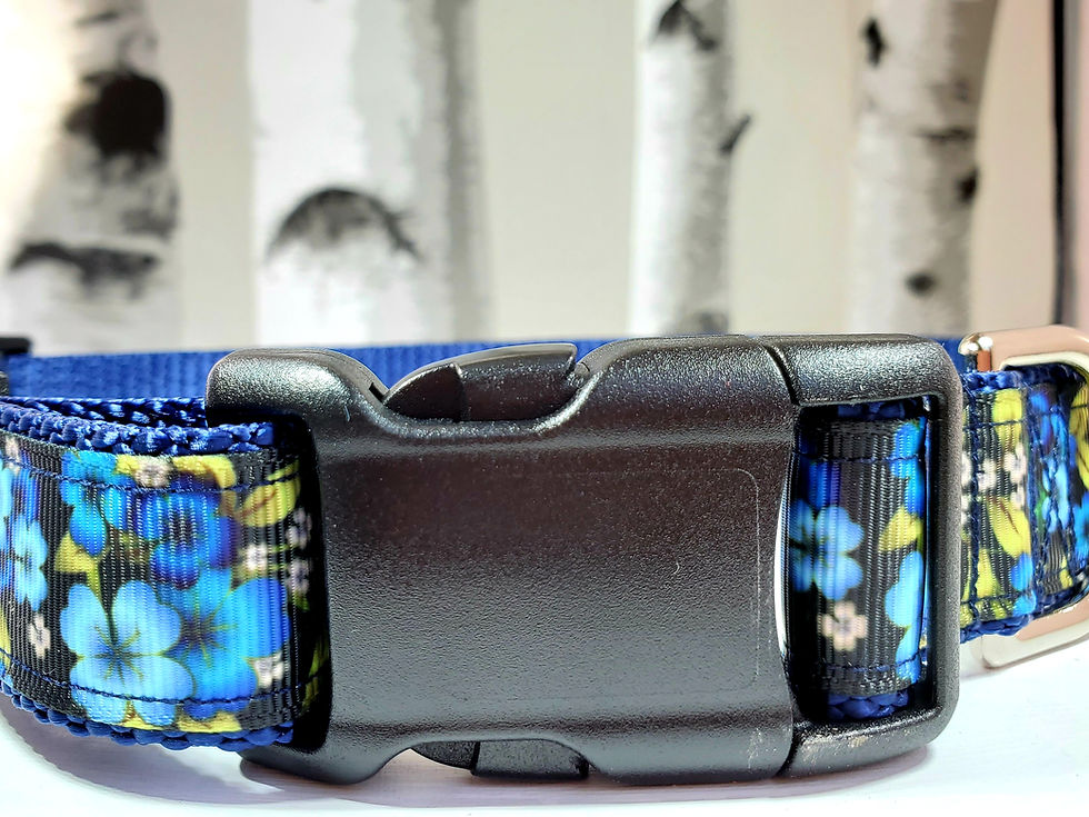 Thumbnail: 1" Blue Floral Dog Collar, Martingale, Harness,  or Leash