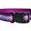 Thumbnail: 3/4" Purple Southwest Dog Collar, Leash, Martingale, or Harness
