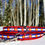 Thumbnail: 1/2" Colorado Dog Collar, Leash, or Harness