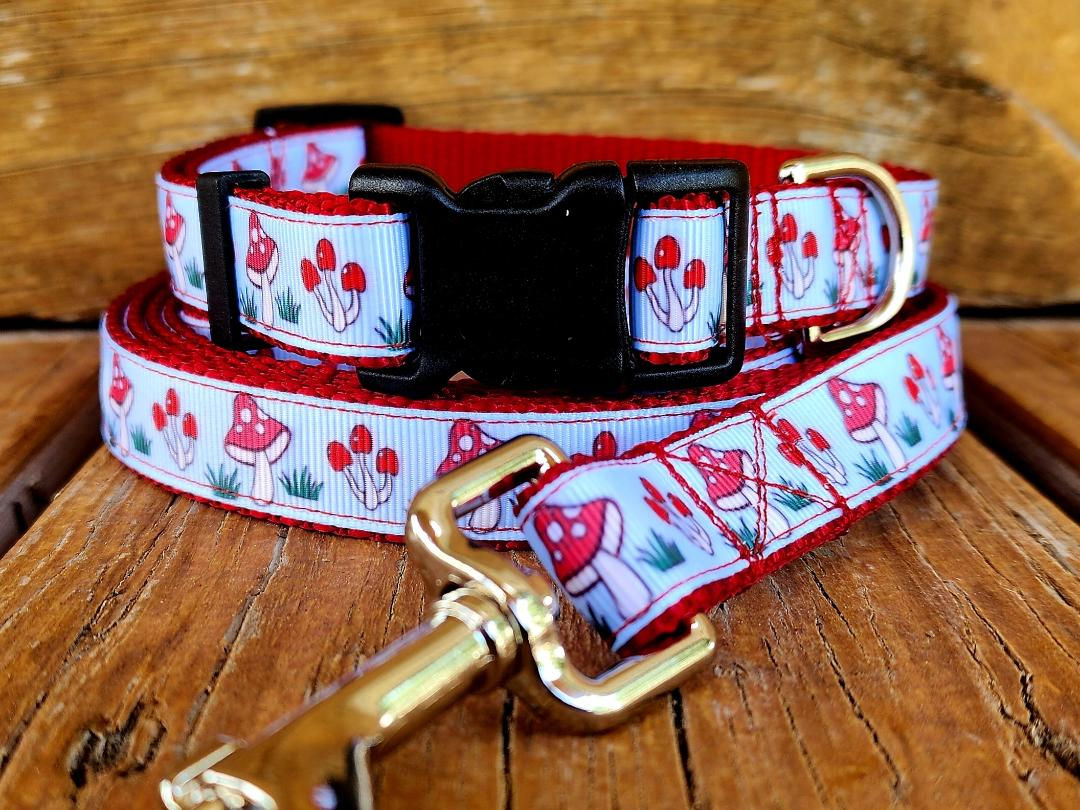 3/4" Mushroom Dog Collar, Leash, or Martingale