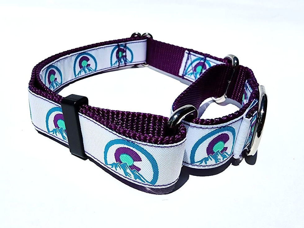 Thumbnail: 1" Purple Colorado Martingale Collar or Leash