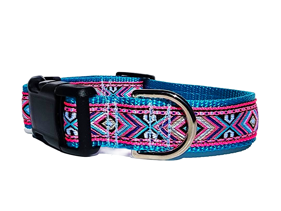 Thumbnail: 1" Pink Southwest Dog Collar or Leash