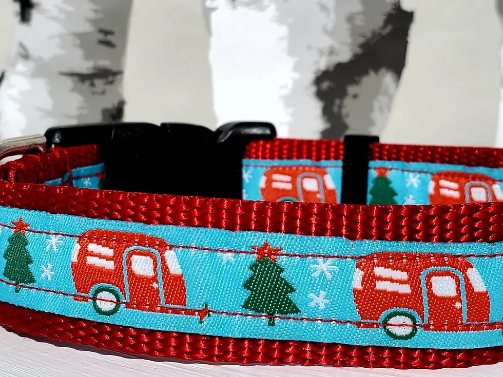 Thumbnail: 1" Christmas Camper Dog Collar, Leash, Martingale