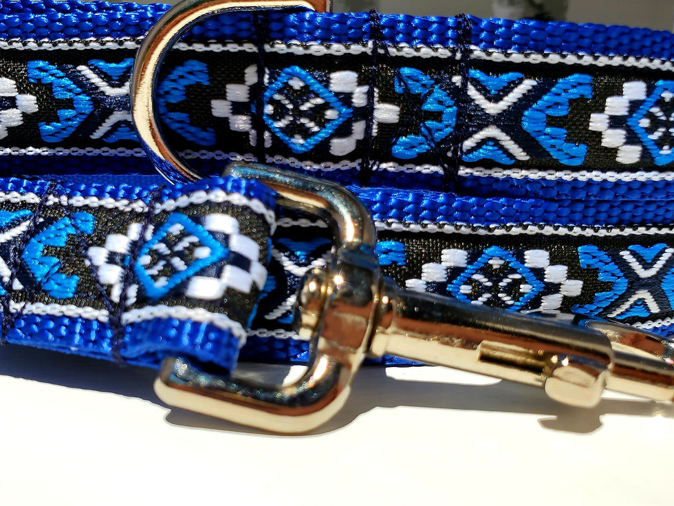Thumbnail: 1" Blue Southwest Dog Collar, Martingale, Leash, or Harness