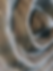 Screenshot 2024-12-04 122505.png