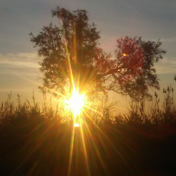 la gran luz