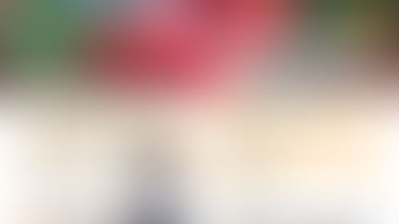 恵那・中津川の農産物・加工品　募集中！