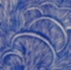 Close-up: Blue Mushroom | A5 Linocut Print