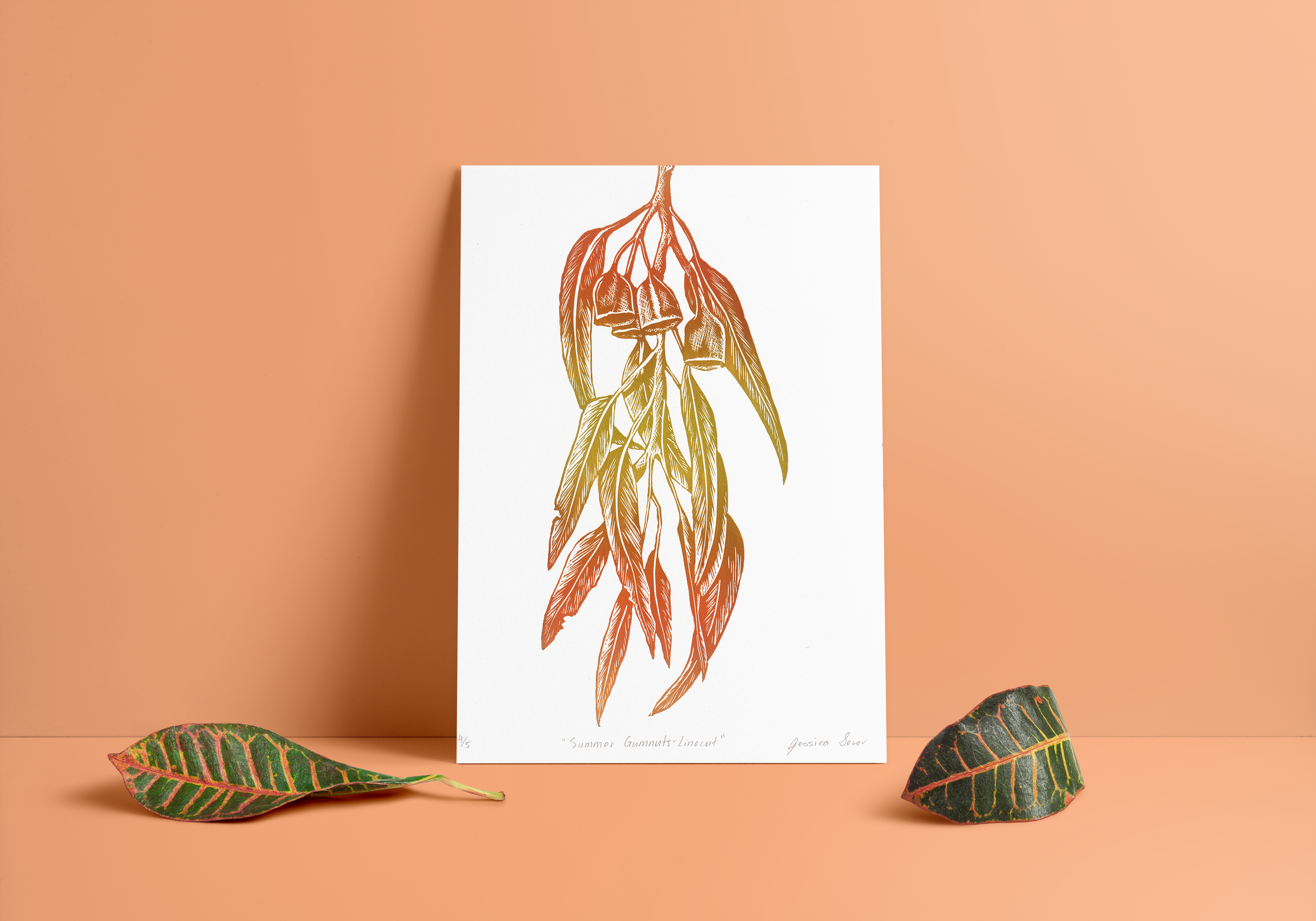 Summer Gumnuts | A4 Linocut Print