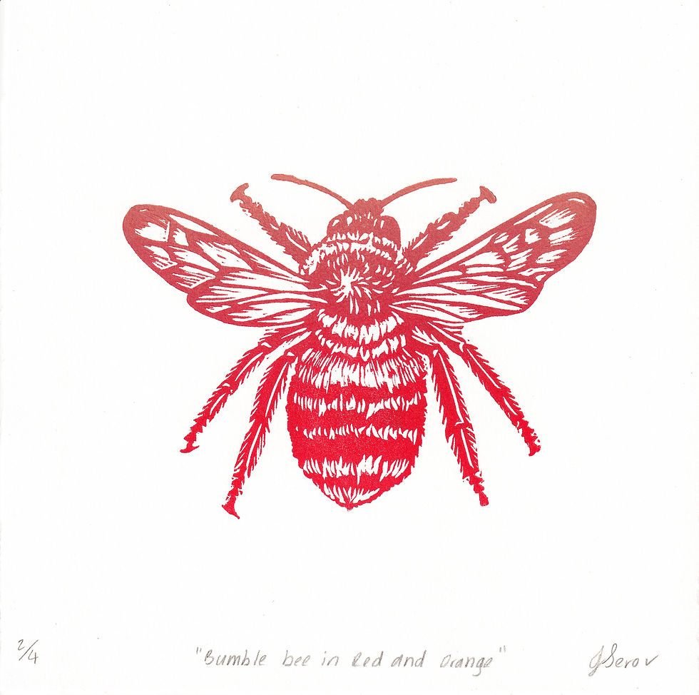 Thumbnail: Bumble bee in Red and Orange | A5 Linocut Print