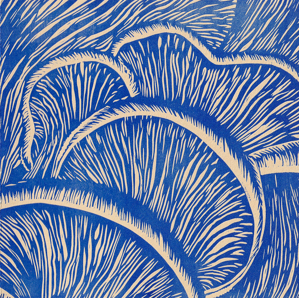 Thumbnail: Close-up Mushrooms in blue | Gift Card