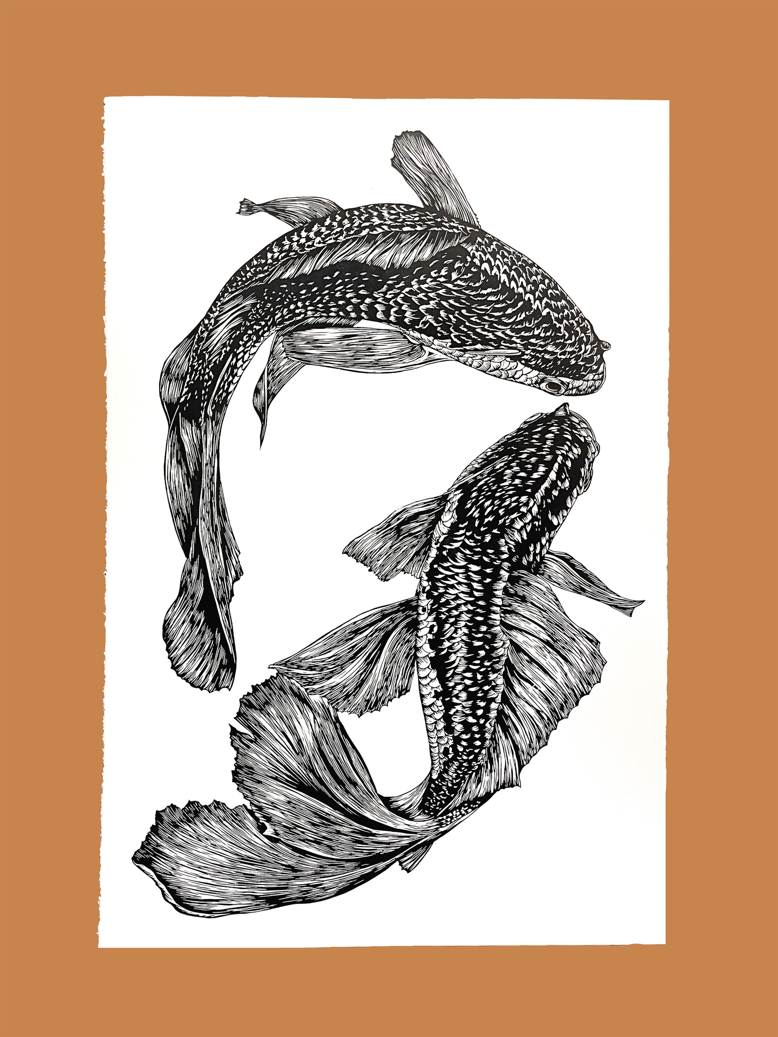 New Year Koi Fish in black