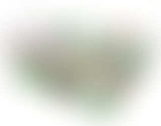 BBC Gardeners World Live - Metamorphosis Garden View