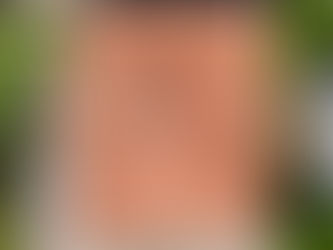 Fotogrammetria Avanzata con Droni per Aziende