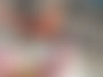 Insektenschutz