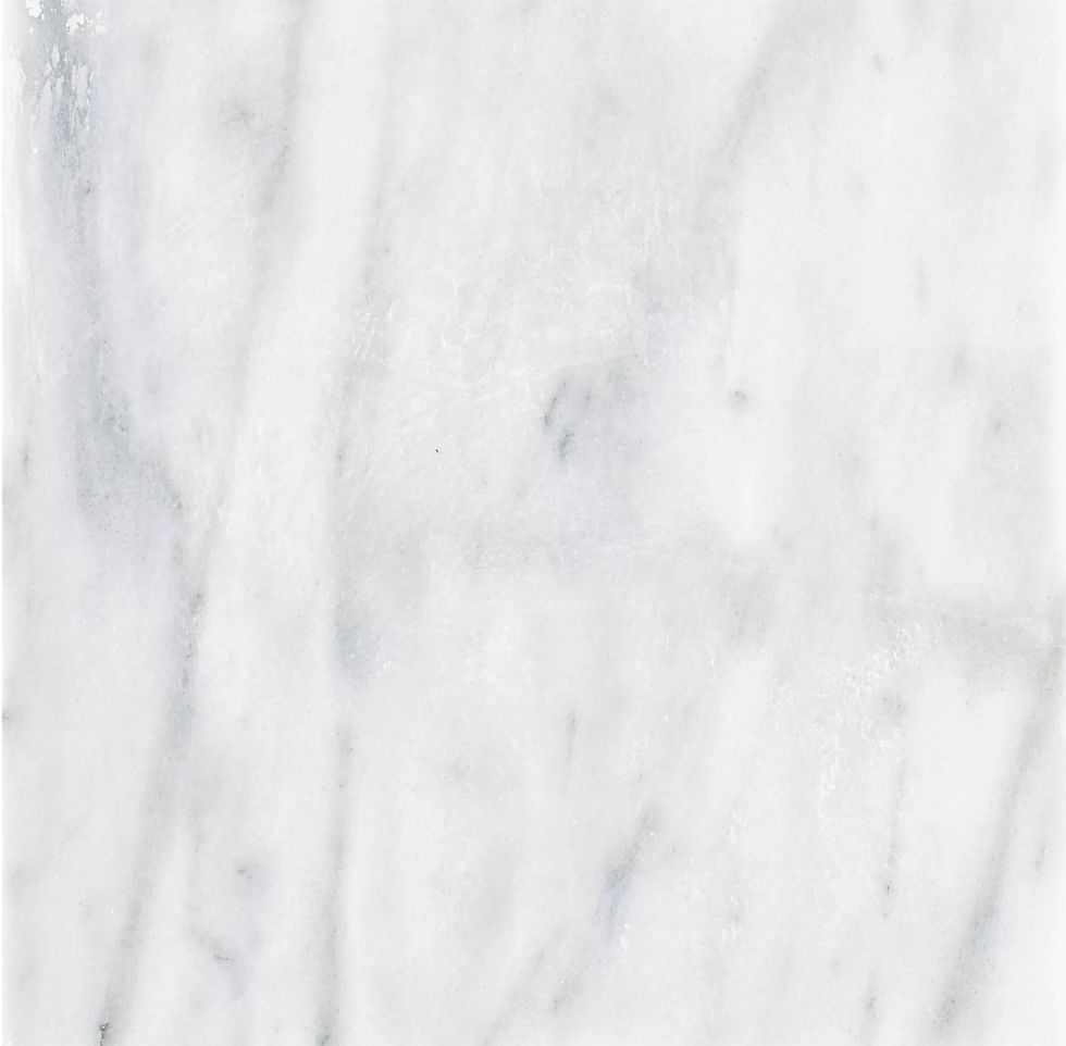 100139013_ocean-silver-polished-marble-tile_1_edited.jpg