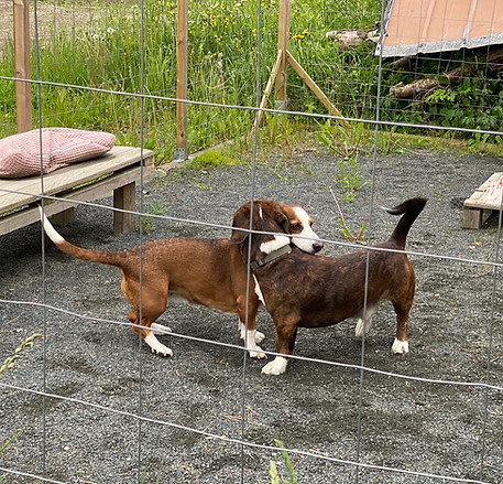 Hilma x Rolle 19.6.2025 astutus.JPEG
