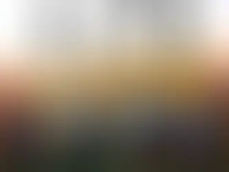 Les équipes du Tournoi