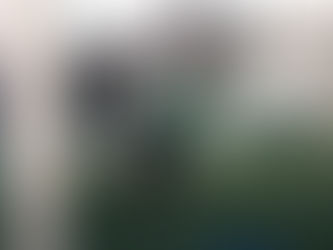 𝗡𝗼𝘀 𝗨𝟭𝟱 𝗙𝗲́𝗺𝗶𝗻𝗶𝗻𝗲𝘀 𝗮𝗳𝗳𝗿𝗼𝗻𝘁𝗮𝗶𝗲𝗻𝘁 𝗹𝗲𝘀 𝗷𝗼𝘂𝗲𝘂𝘀𝗲𝘀 𝗰𝗮𝗻𝗮𝗱𝗶𝗲𝗻𝗻𝗲𝘀 𝗱𝗲𝘀 𝗖𝗲𝗹𝘁𝗶𝘅 𝗰𝗲 𝗷𝗲𝘂𝗱𝗶 𝗮𝘂 𝗖𝗼𝗺𝗽𝗹𝗲𝘅𝗲 𝗣𝗮𝘂𝗹 𝗩𝗲𝗿𝗴𝘂𝗶𝗻 ! 💪