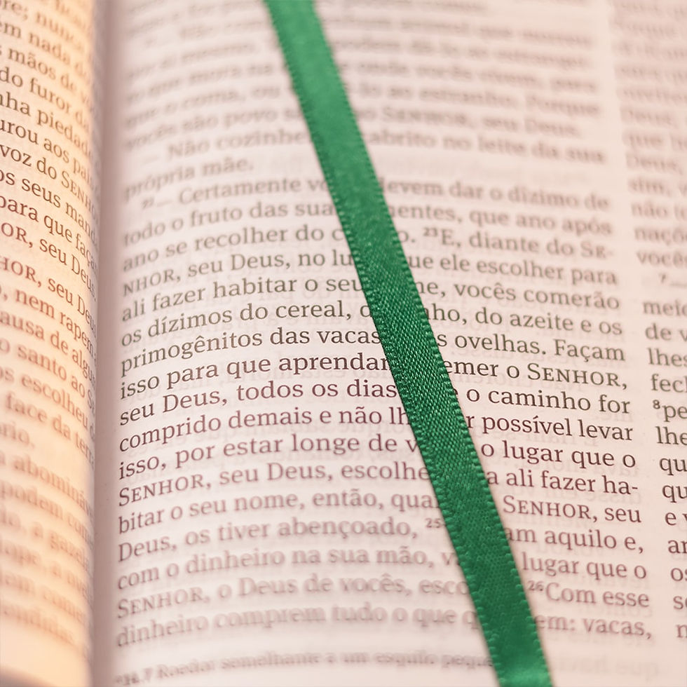 Thumbnail: Biblia: 365 - NAA - Encardenacao: Capa Dura - Letra: Grande (Portugues Brasil)