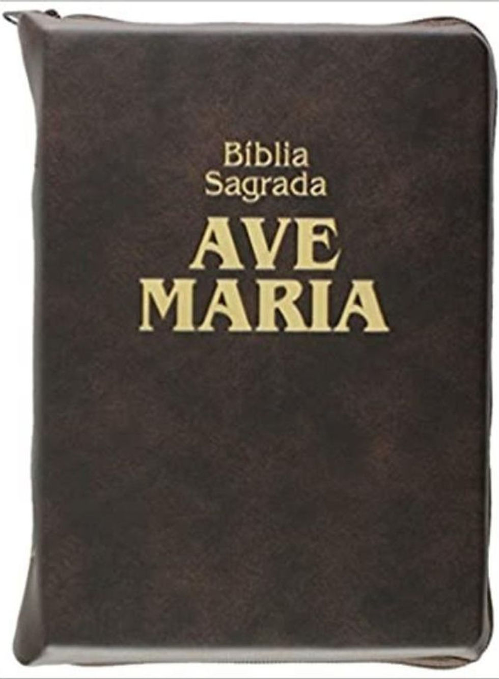 Thumbnail: Biblia Sagrada: Encardenacao: Ziper (Em Portugues do Brasil)