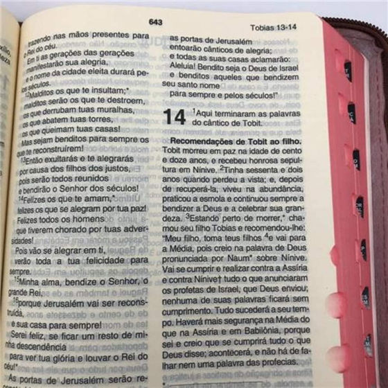 Thumbnail: Biblia Sagrada:  Encardenacao: Ziper (Em Portugues do Brasil)