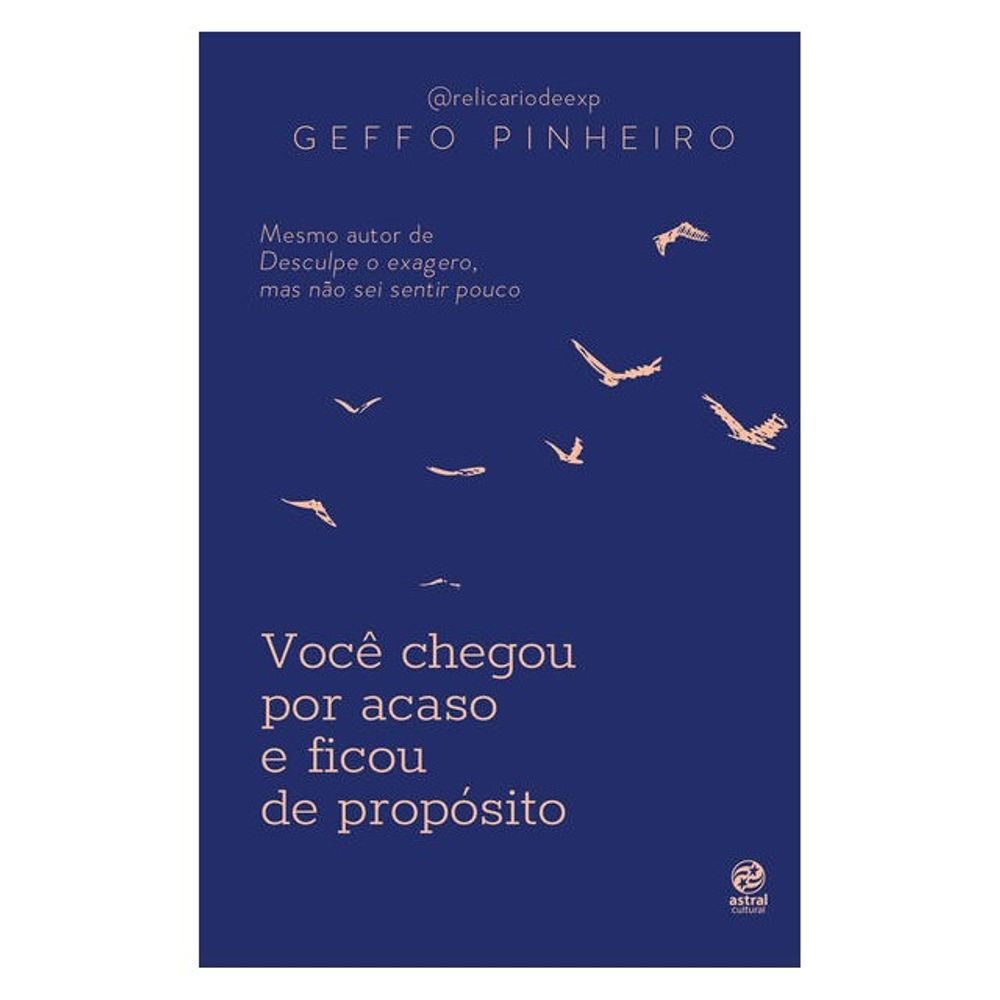 Livro: Voce Chegou por Acaso e Ficou de Proposito - Geffo Pinheiro (Portugues)