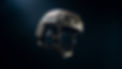 SWAT Helmet.jpg