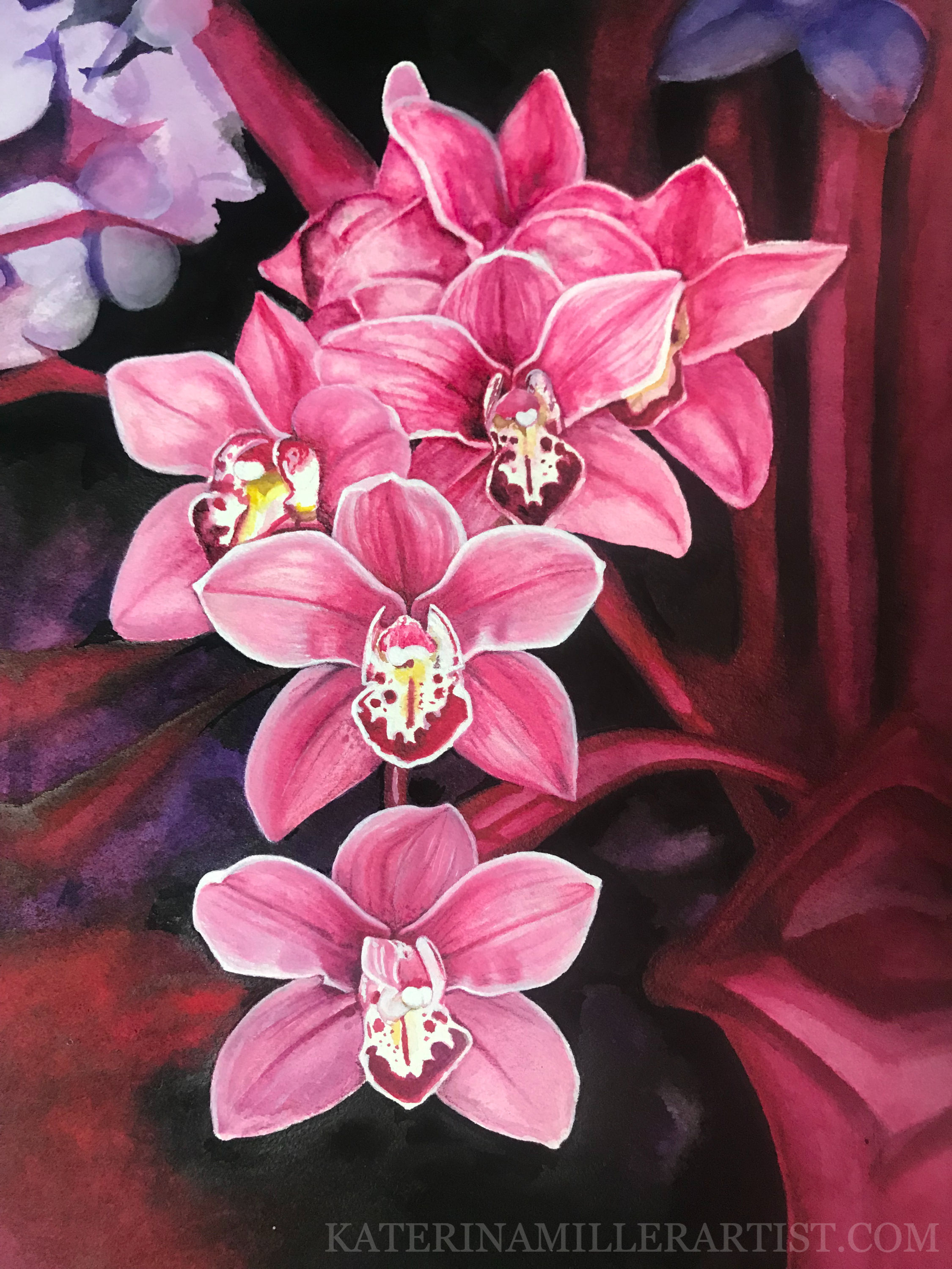 beautiful pink orchid flowers with a pink stem on a deep magenta background
