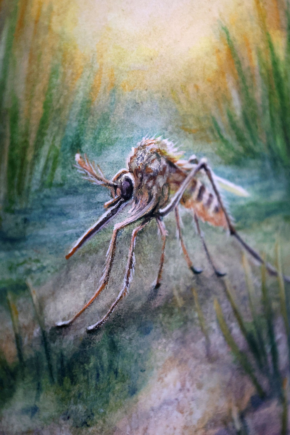 Thumbnail: Watercolor mosquito painting in Florida swamp at sunset – A detailed mosquito in macro view, lit against a glowing wetland