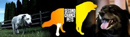 Second Chance Pets