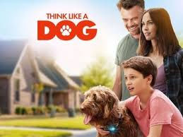 Think Like A Dog