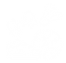 26.png