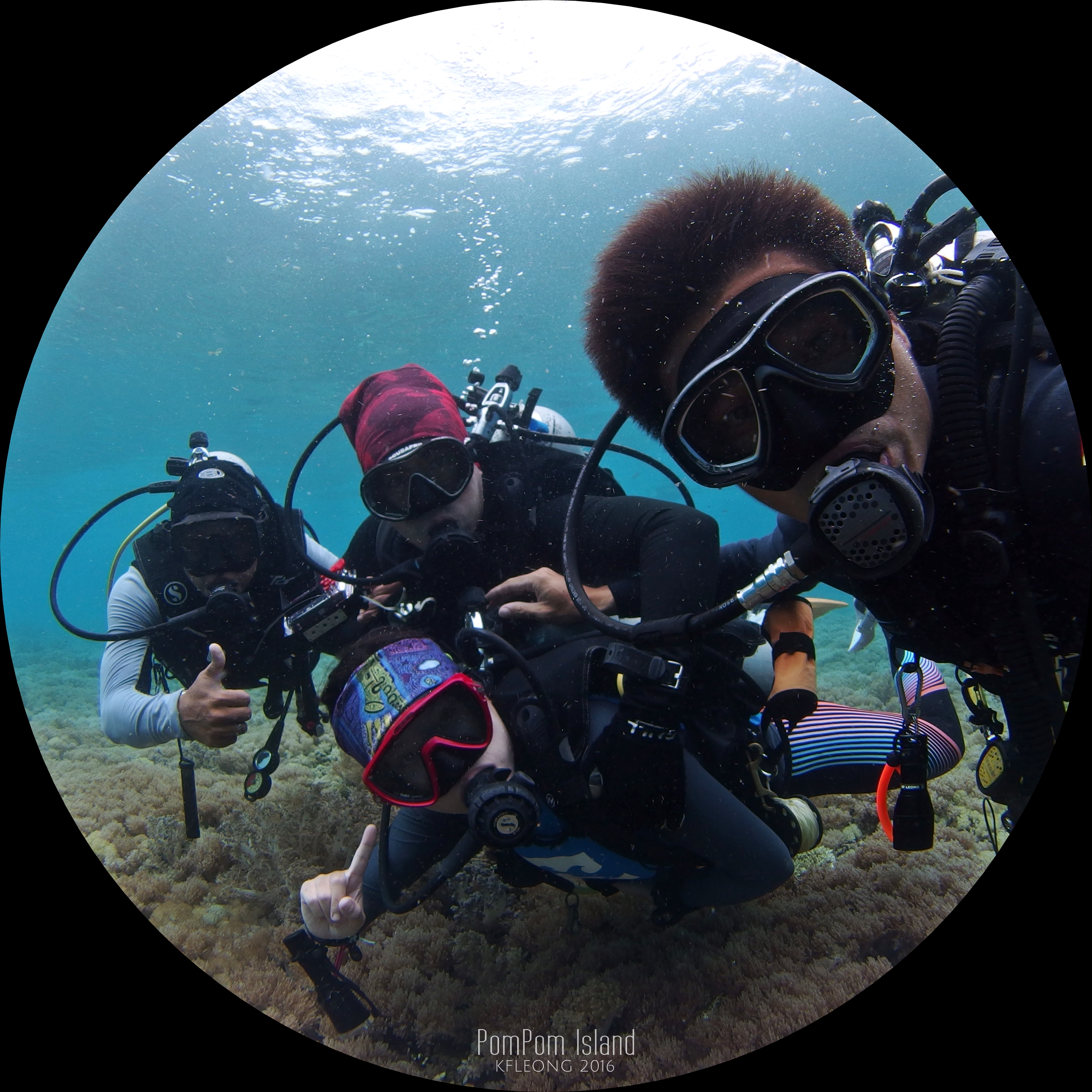 Divers having fun