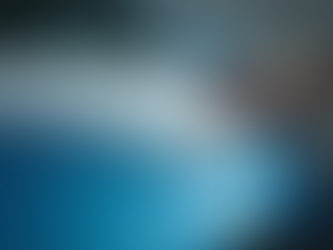 Find Trusted XPEL Film Installer Experts Near You