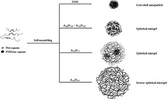 pola27950-fig-0009-m.jpg