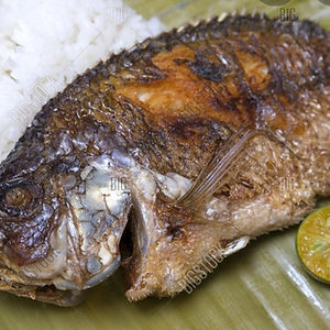 Fried Tilapia
