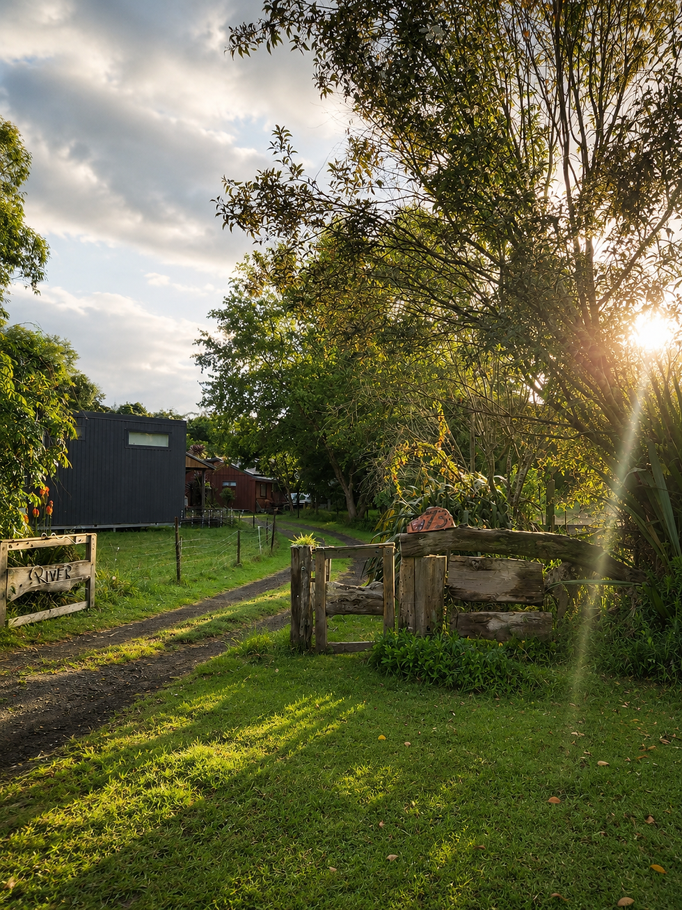 Life Light NZ Rural Location in North Auckland.png