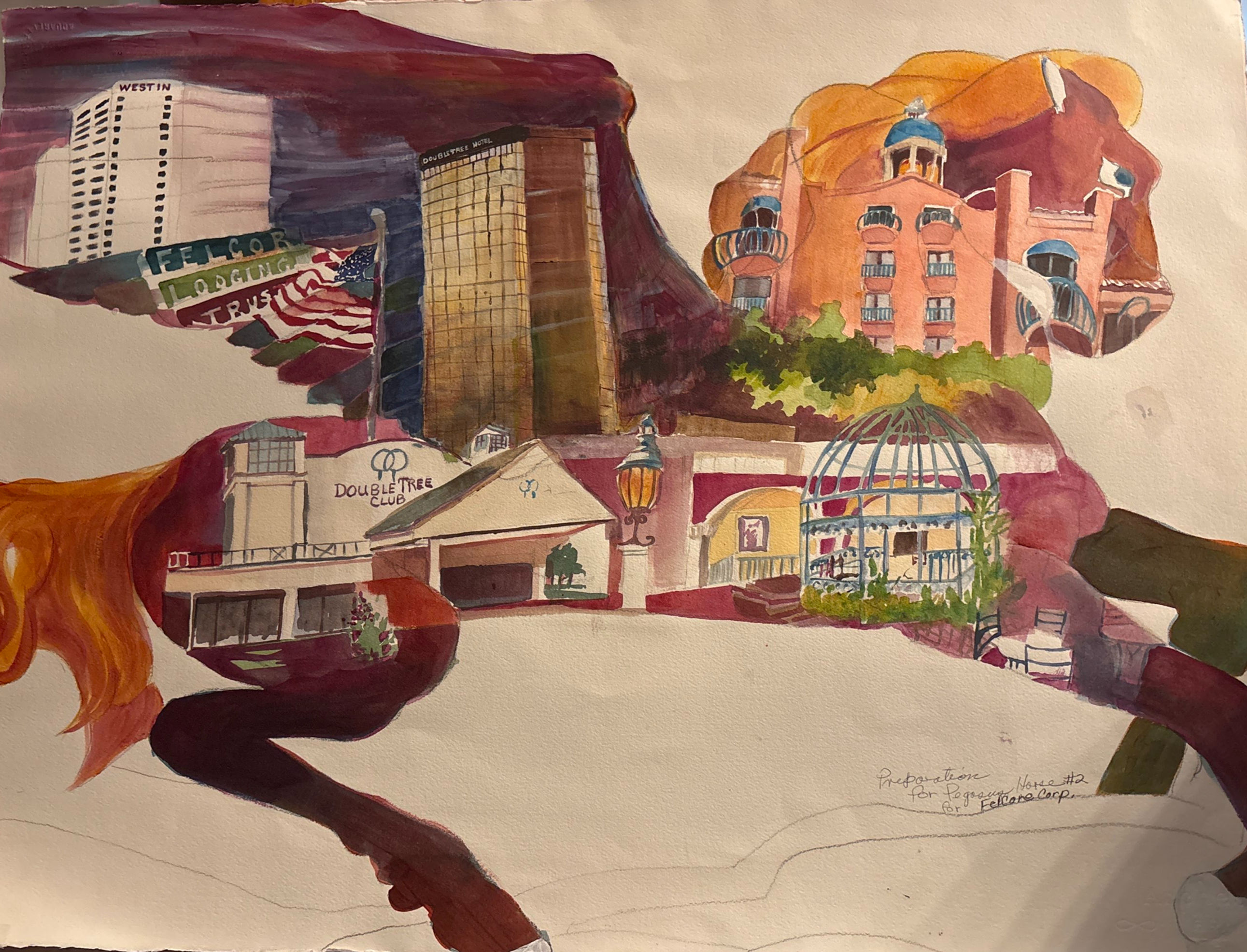 Preparation for Pegasus #2