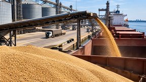 USDA: Soja acelera embarques nos EUA e volume salta 44% na semana, superando expectativas