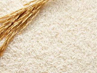 Arroz: retração vendedora mantém liquidez baixa