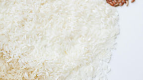 Produtores de arroz ainda enfrentam baixa rentabilidade