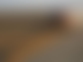 Safra de soja 2024/25 no Brasil deve bater recorde, apesar das perdas no Sul