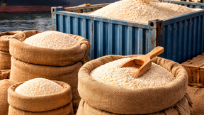 Arroz reage no mercado com oferta restrita no RS, mas preços ainda não cobrem custos de produção