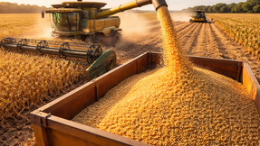 Soja oscila entre alta em Chicago e travamento no Brasil com pressão logística e cautela do mercado