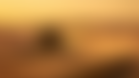 Colheita da soja chega a 50% da área cultivada no RS