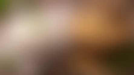 Macroeconomia e comércio internacional do arroz pautam painéis da Abertura da Colheita